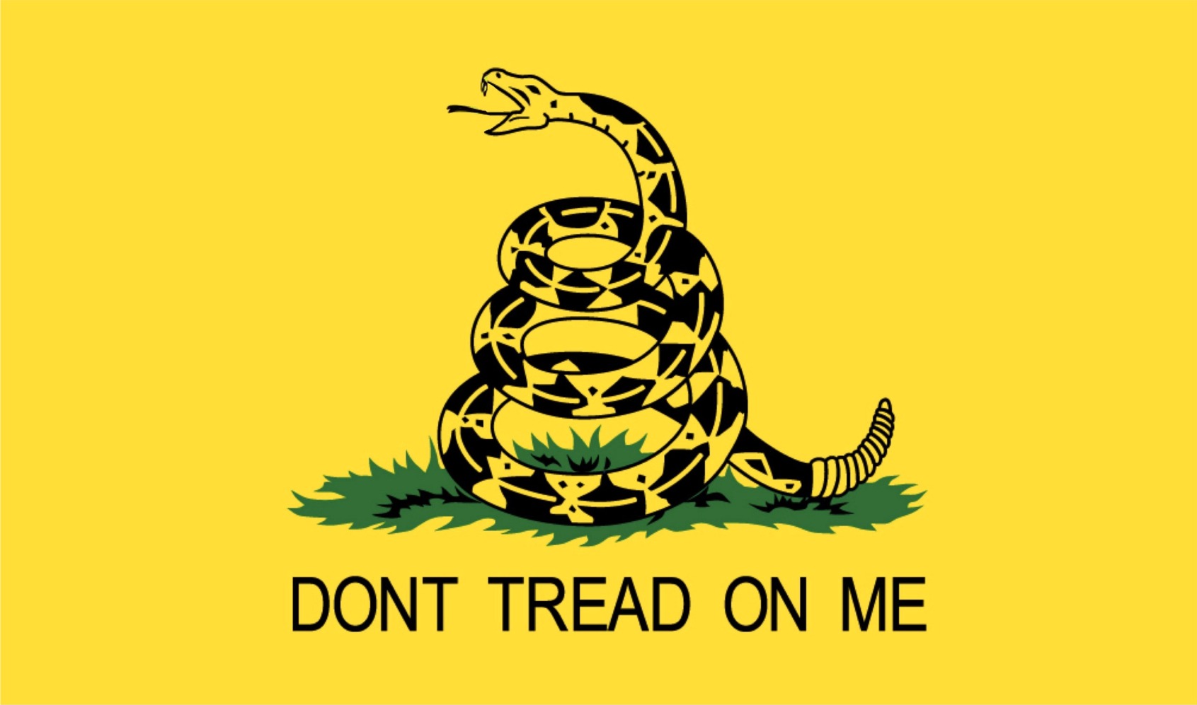 Gadsden-Flag-6mb-Image-LGF600