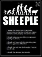 sheeple
