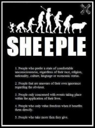 sheeple