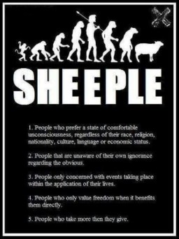 sheeple