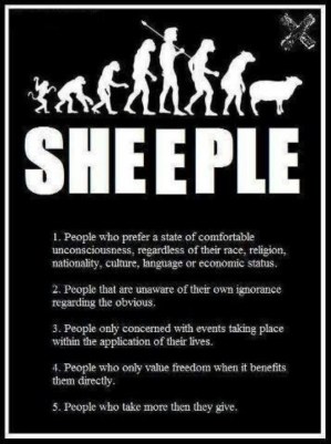 sheeple
