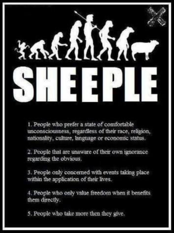 sheeple
