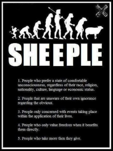 sheeple
