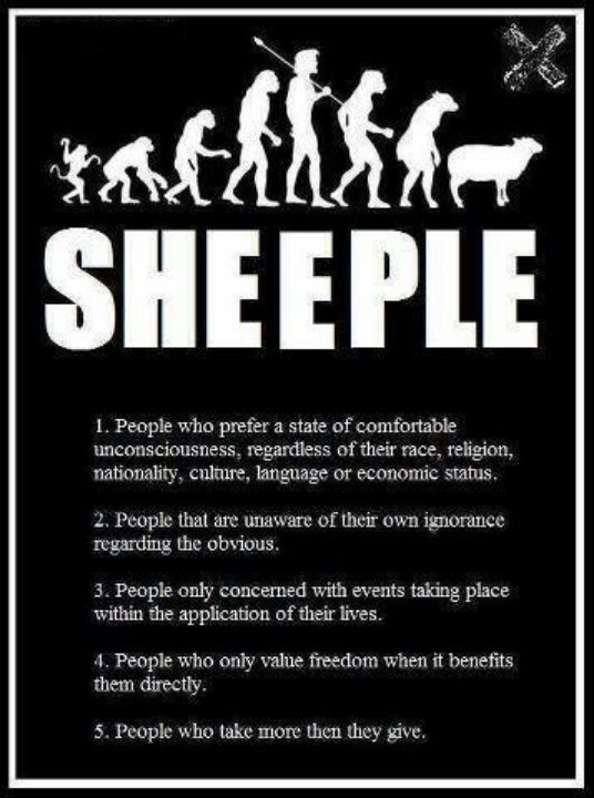 sheeple